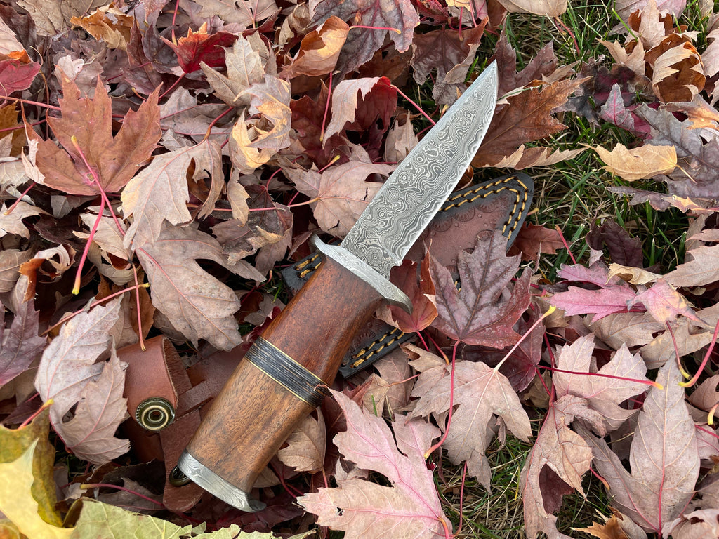 Ironwood Stalker Damascus Steel Knife – Handcrafted Black Walnut Handle