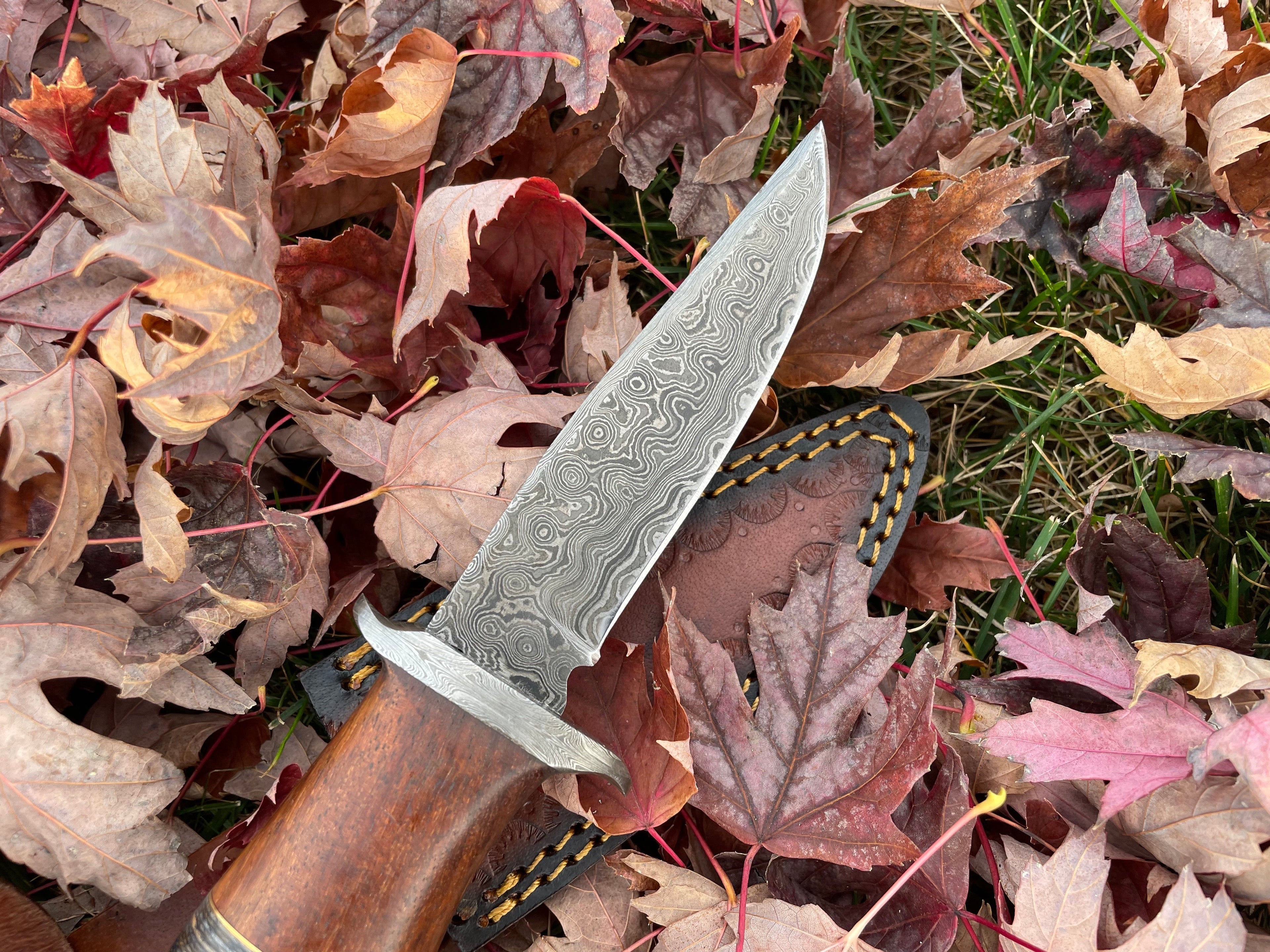 Ironwood Stalker Damascus Steel Knife – Handcrafted Black Walnut Handle