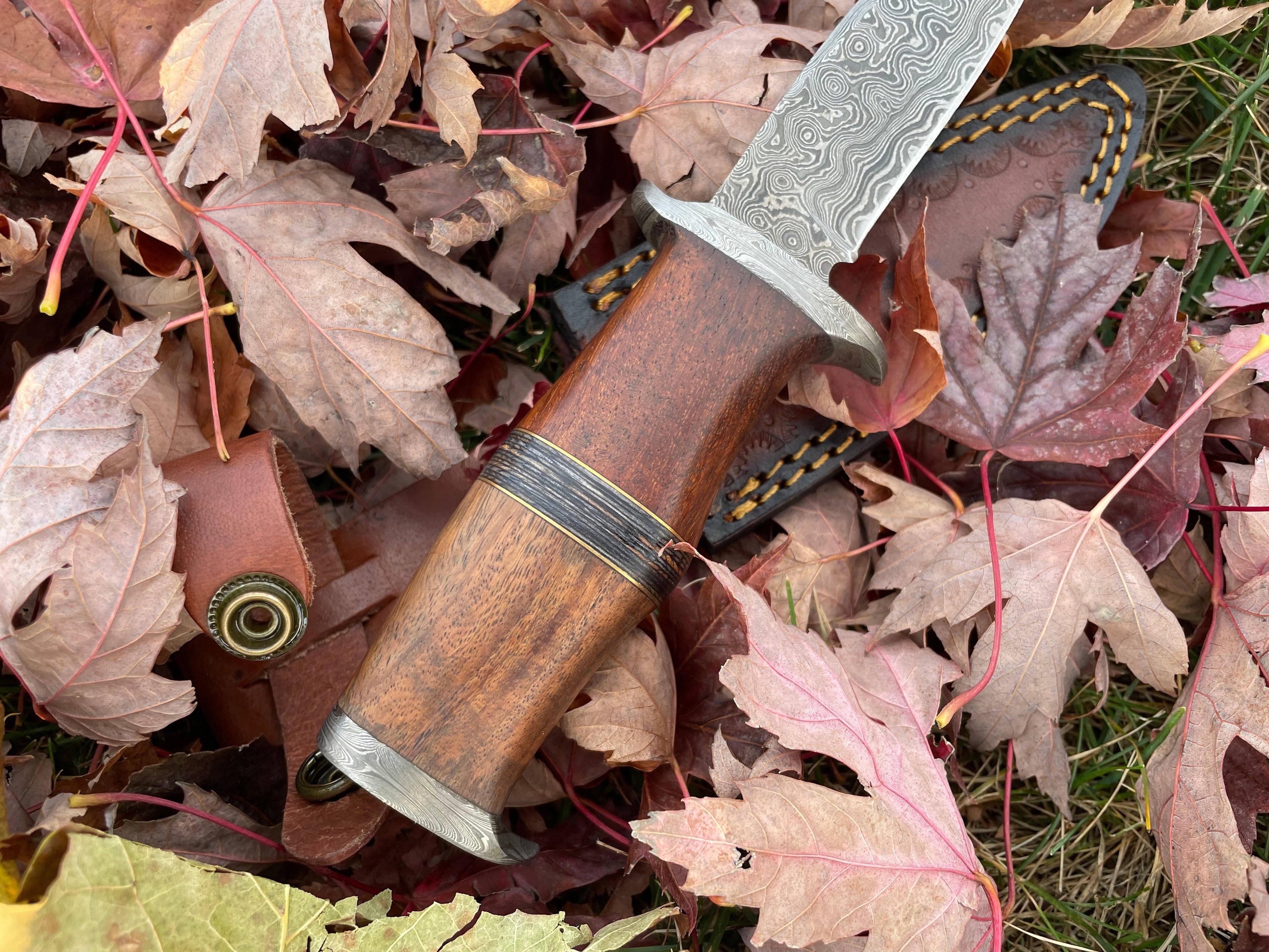 Ironwood Stalker Damascus Steel Knife – Handcrafted Black Walnut Handle