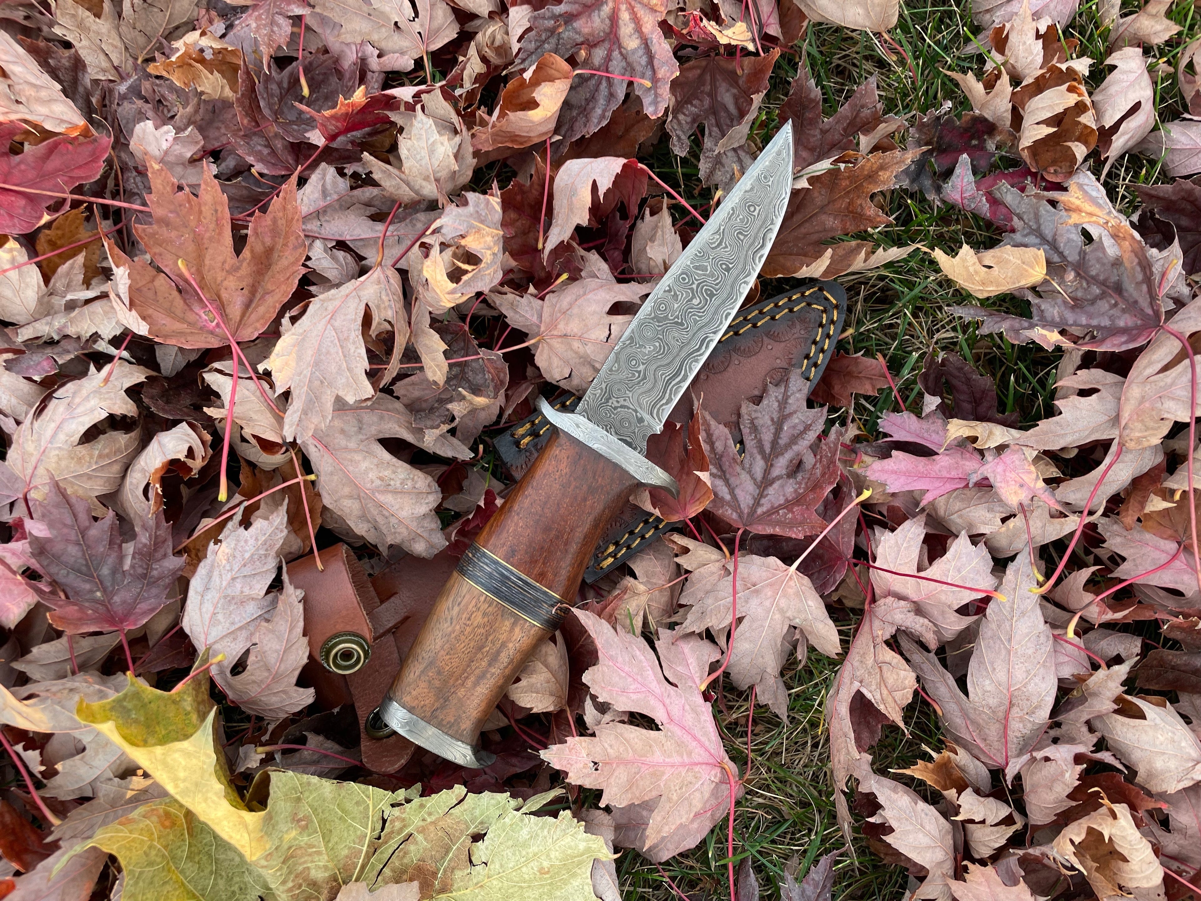 Ironwood Stalker Damascus Steel Knife – Handcrafted Black Walnut Handle